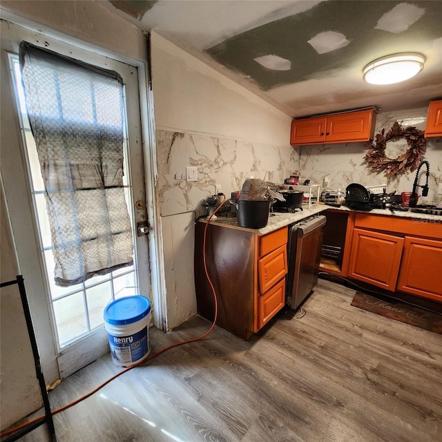 kitchen with black dishwasher, light hardwood / wood-style floors, and sink