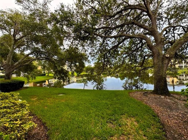 view of yard with a water view