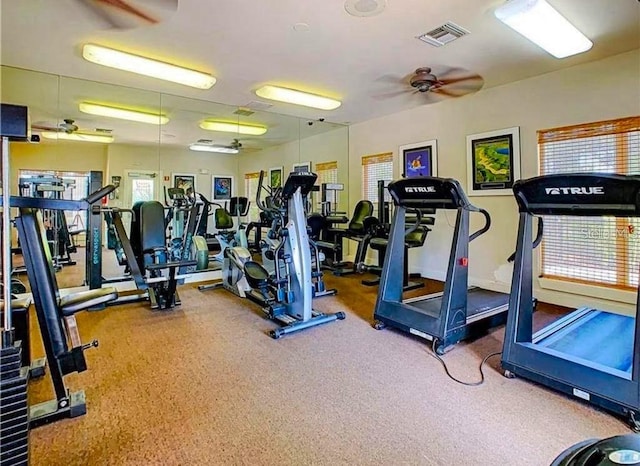 workout area featuring ceiling fan and a healthy amount of sunlight