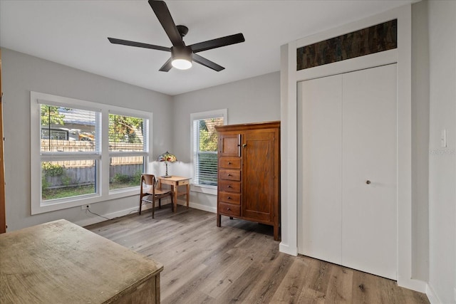 interior space featuring light hardwood / wood-style flooring and ceiling fan