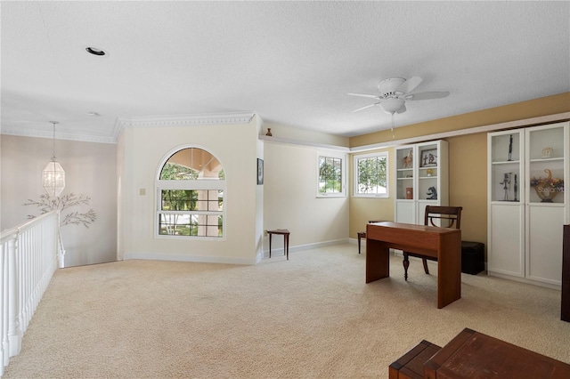 carpeted home office featuring ceiling fan and a textured ceiling