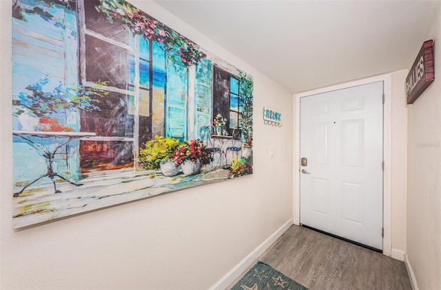 entryway featuring wood-type flooring