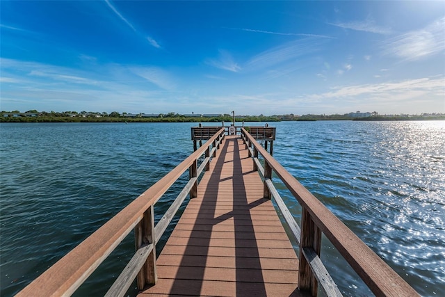 dock area with a water view