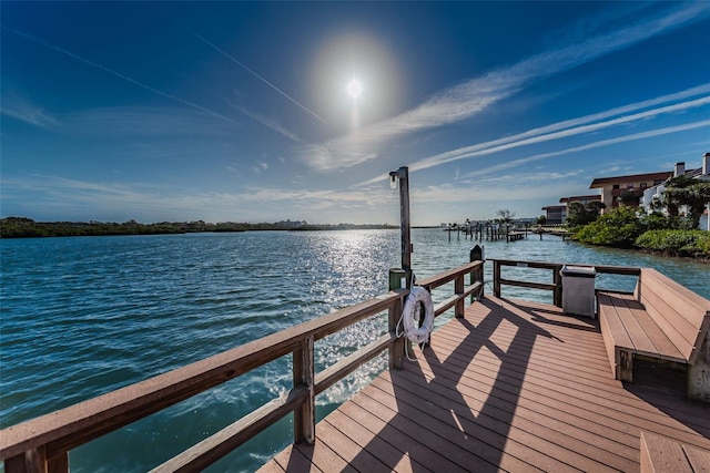 dock area with a water view