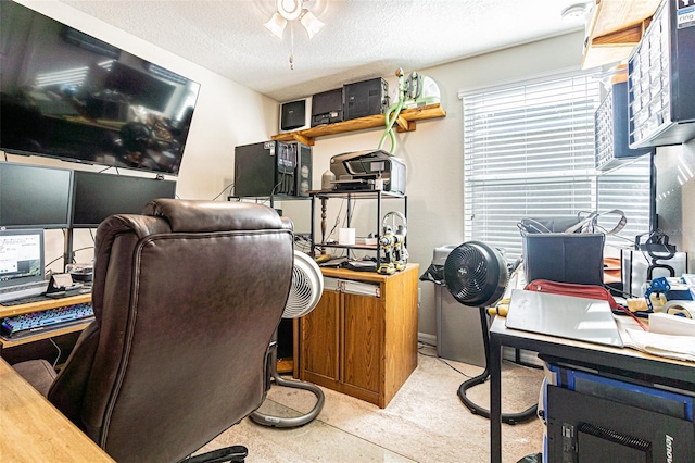 home office with a textured ceiling