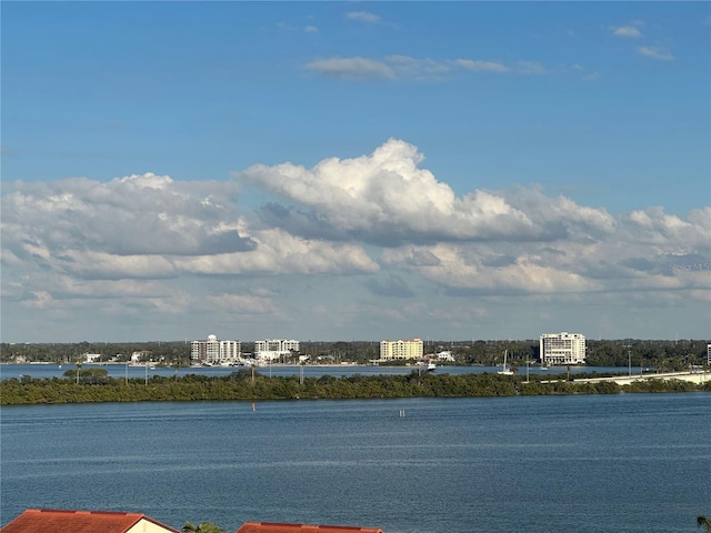 view of water feature