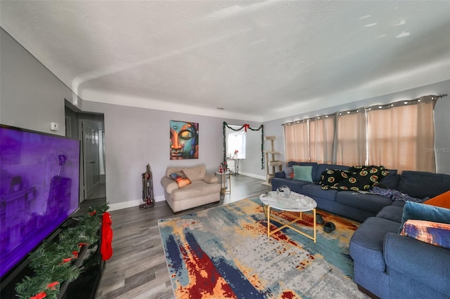 living room featuring hardwood / wood-style flooring