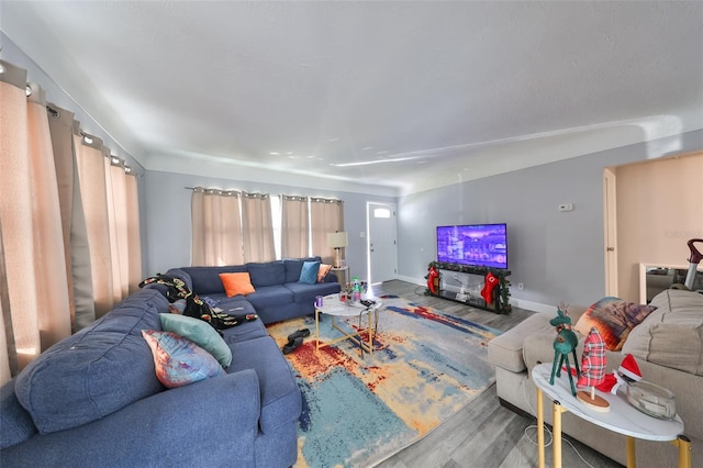 living room featuring hardwood / wood-style floors