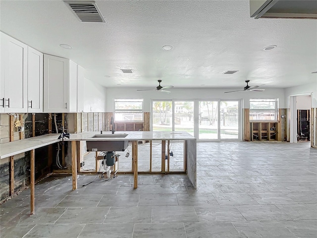 interior space featuring ceiling fan, white cabinetry, sink, and tasteful backsplash