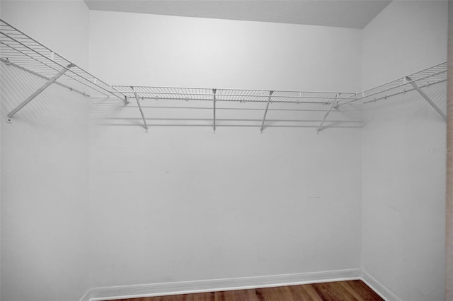 walk in closet featuring dark wood-type flooring