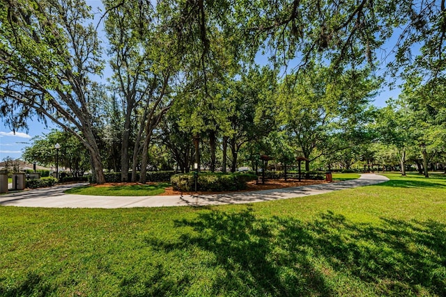 view of community featuring a yard