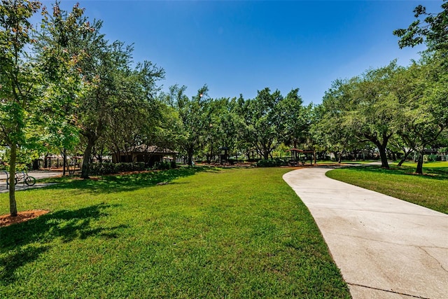 view of property's community featuring a lawn