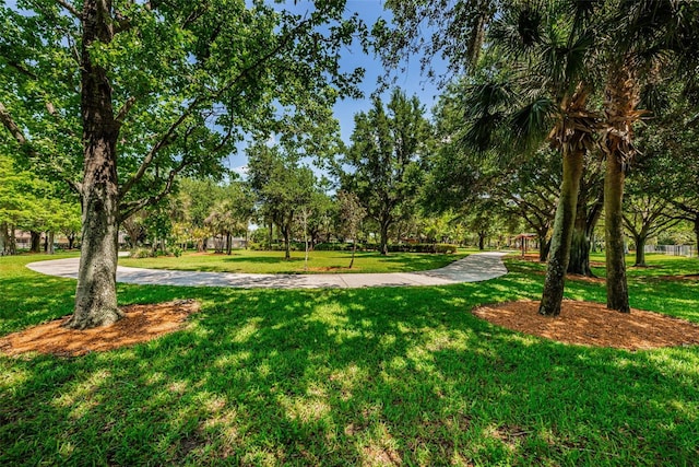 view of community featuring a lawn