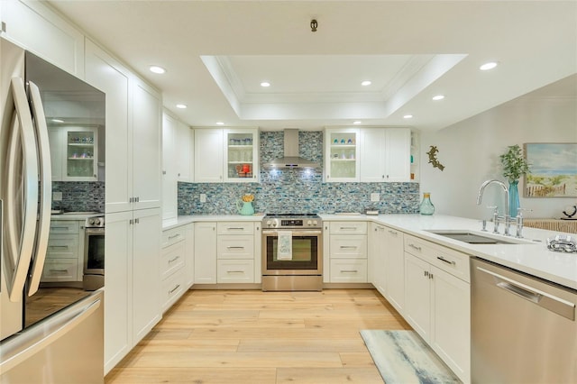 kitchen featuring appliances with stainless steel finishes, wall chimney exhaust hood, a tray ceiling, sink, and white cabinetry