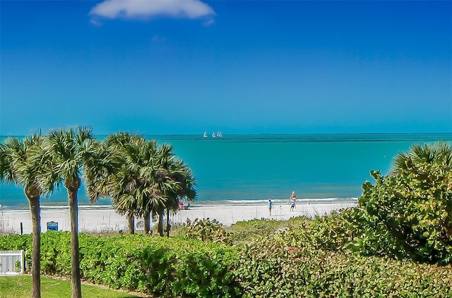 view of water feature with a beach view