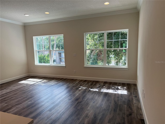 5725 Desert Rose Pl, Tampa, FL 33615 - photo 28