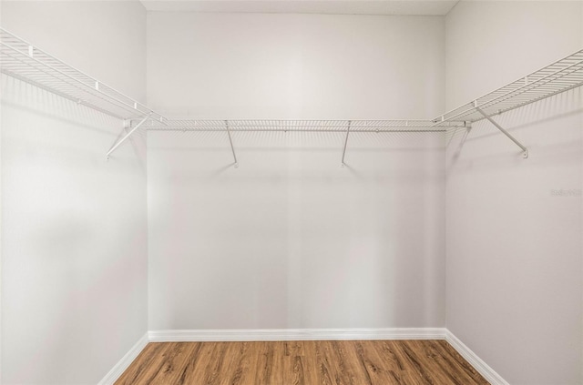 spacious closet with hardwood / wood-style flooring