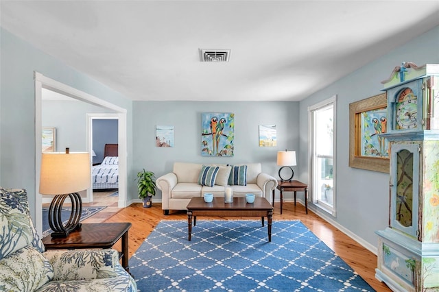 living room featuring wood-type flooring