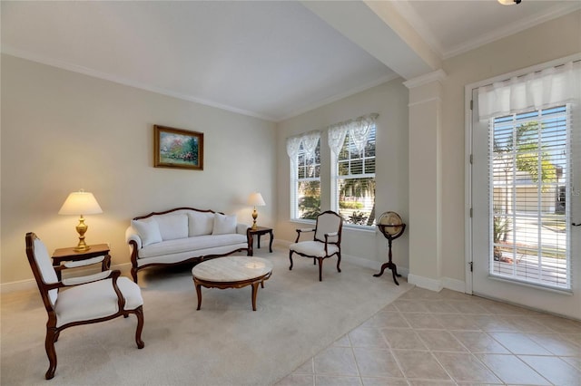 living area featuring light colored carpet and crown molding