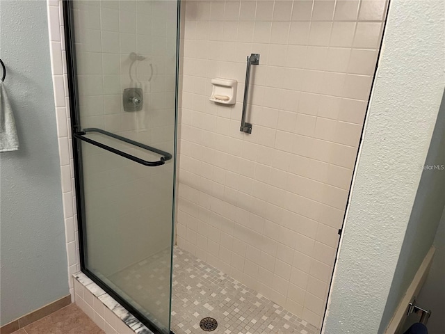 bathroom featuring a shower with shower door