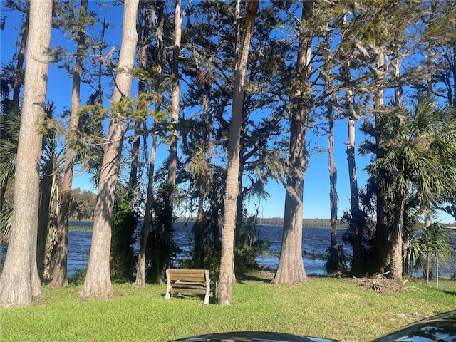 3259 Hilary Cir Unit 1A, Palm Harbor, FL 34684 - view of grassy yard with a water view
