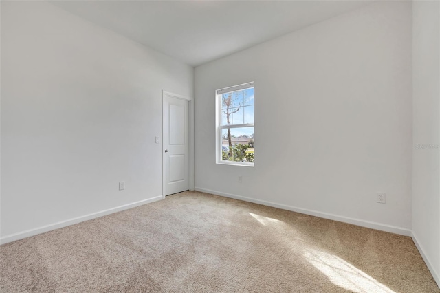 spare room featuring carpet floors