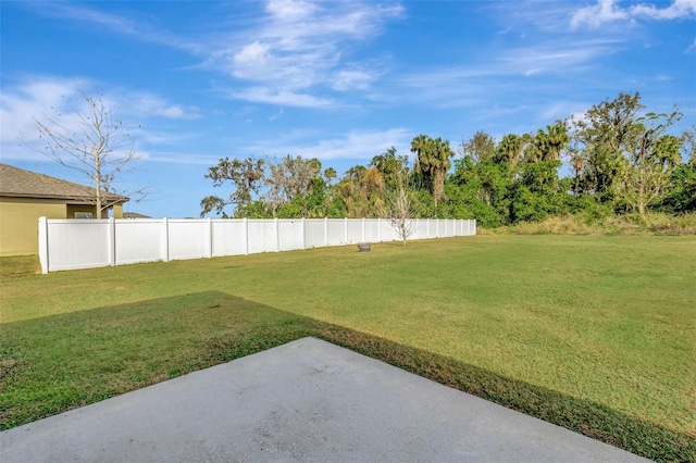 view of yard featuring a patio