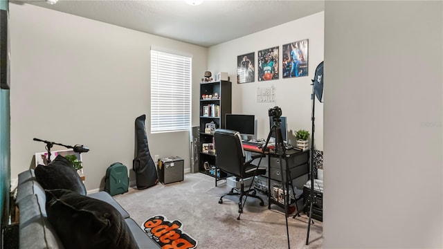 view of carpeted home office