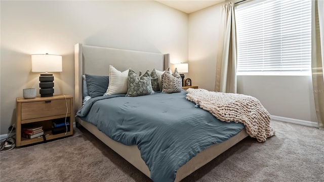 bedroom featuring carpet flooring