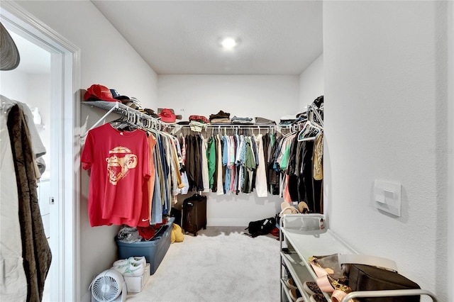 spacious closet with carpet