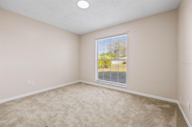 unfurnished room featuring carpet and a textured ceiling