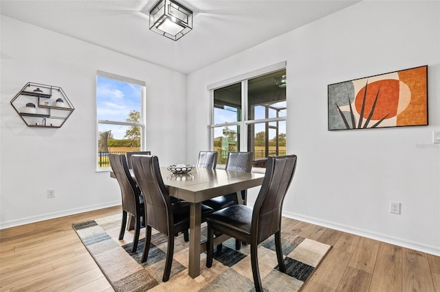 dining area featuring light hardwood / wood-style floors and a wealth of natural light