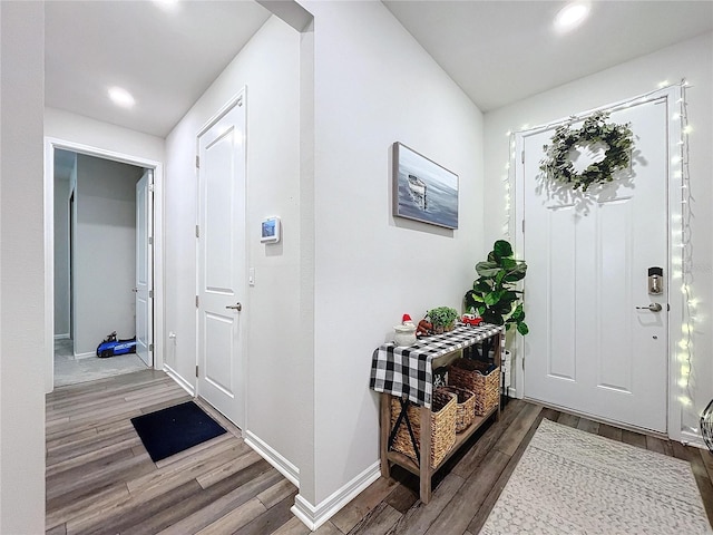 foyer entrance featuring wood-type flooring