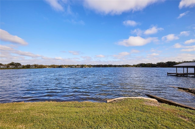 dock area with a water view