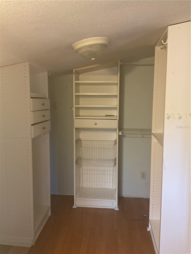 spacious closet with dark wood-type flooring