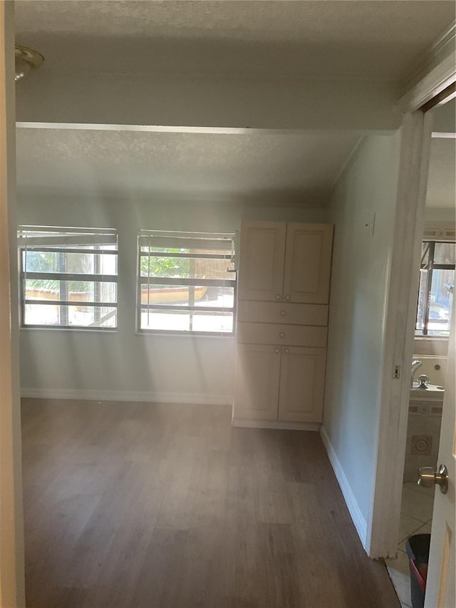 spare room with hardwood / wood-style floors and plenty of natural light