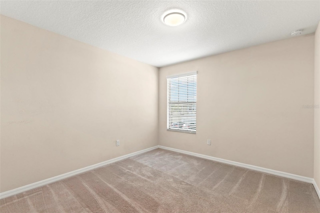 empty room with carpet and a textured ceiling