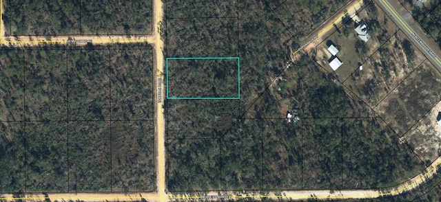 Listing photo 2 for 00 Tamarac Rd, Marianna FL 32448