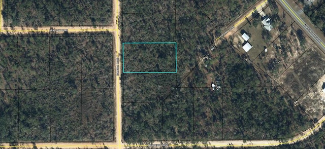 Tamarac Rd, Marianna, FL 32448 - photo 2