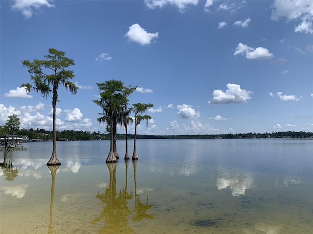 Tamarac Rd, Marianna, FL 32448 - photo 4
