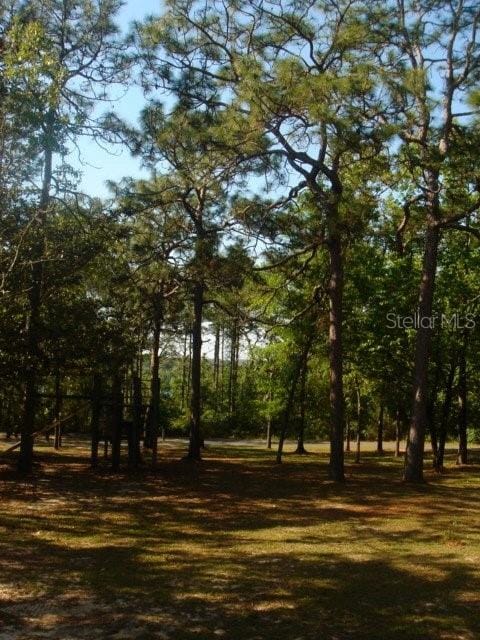Tamarac Rd, Marianna, FL 32448 - photo 9