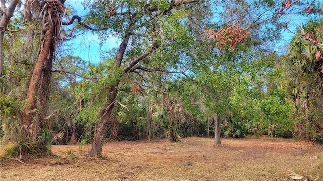 Needles Dr, Hudson FL, 34667 land for sale