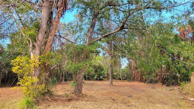 Needles Dr, Hudson, FL 34667 - photo 7