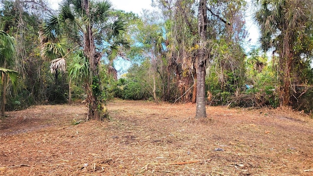 Listing photo 3 for Needles Dr, Hudson FL 34667