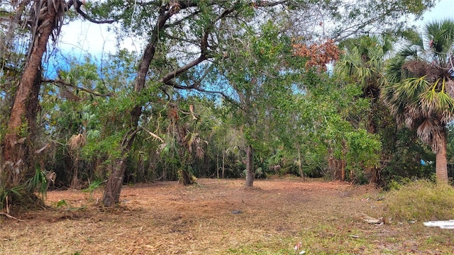 Needles Dr, Hudson, FL 34667 - photo 9