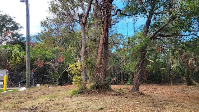 Needles Dr, Hudson, FL 34667 - photo 10