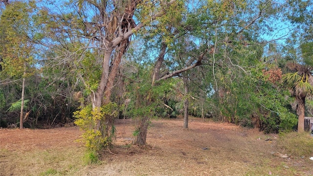 Needles Dr, Hudson, FL 34667 - photo 11