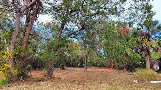 Needles Dr, Hudson, FL 34667 - photo 12