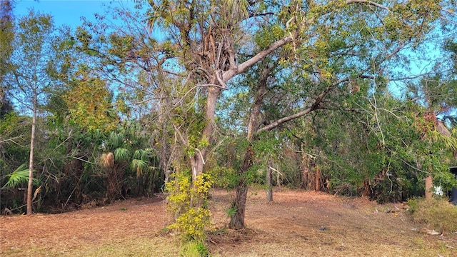 Needles Dr, Hudson, FL 34667 - photo 13