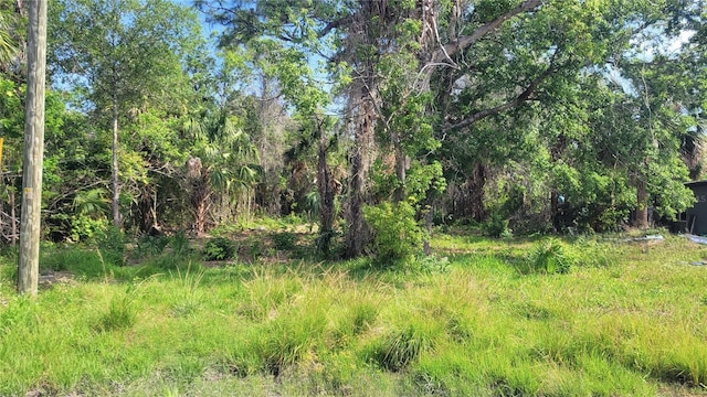 Needles Dr, Hudson, FL 34667